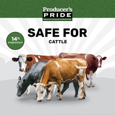 Image showing  Hi-Mag Livestock Mineral Block, 40 lb.