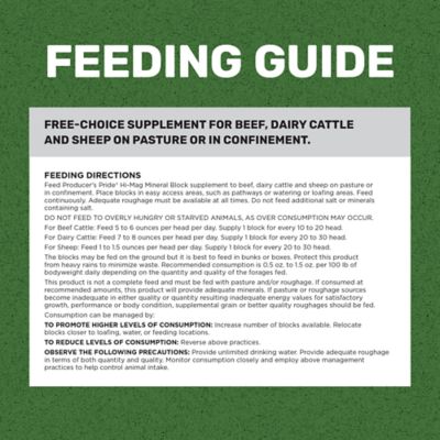 Image showing  Hi-Mag Livestock Mineral Block, 40 lb.