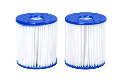 Image showing  Filter Cartridge, Type I
