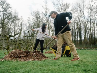Image showing 7 th Carhartt Men's Loose Fit Midweight Logo Sleeve Graphic Sweatshirt