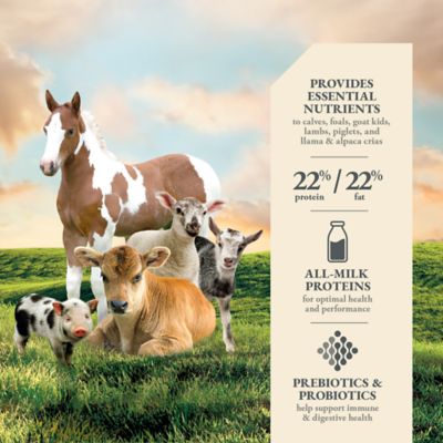 Image showing  Multi-Species Livestock Milk Replacer