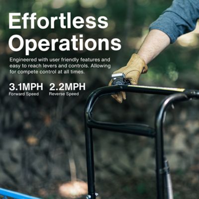 Image showing 6 th Landworks Electric Garden Cart and Wagon