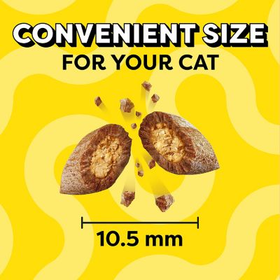 Image showing  Classic Savory Salmon Flavor Crunchy and Soft Treats For Cats, 48 oz. Tub