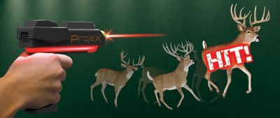 Image showing  Projex Animated