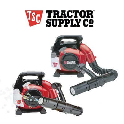 Image showing  Bubble Backpack Leaf Blower Toy