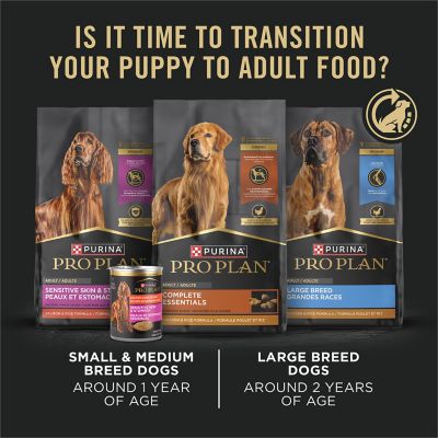 Image showing 8 th Purina Pro Plan Development Wet Puppy Food, Grain Free Chicken Entree and Grain Free Turkey Entree Variety Pack
