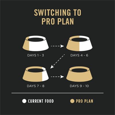 Image showing 9 th Purina Pro Plan Adult Sensitive Skin and Stomach Turkey and Oatmeal Formula Dry Dog Food with Probiotics