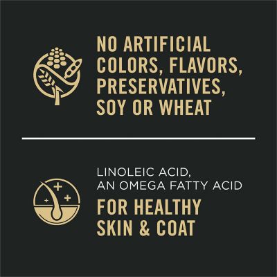 Image showing  Sensitive Skin and Stomach Classic Lamb and Oat Meal Entre Wet Dog Food, 13 oz.