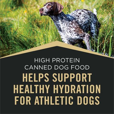 Image showing  Sport High Protein Beef & Bison and Turkey, Duck & Quail Variety Pack Wet Dog Food, 13 oz. Can