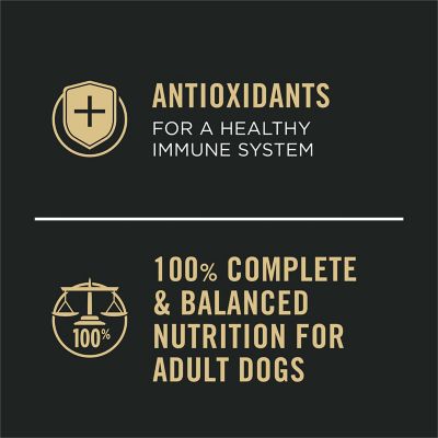 Image showing 6 th Purina Pro Plan Sport High Protein Beef & Bison and Turkey, Duck & Quail Variety Pack Wet Dog Food, 13 oz. Can