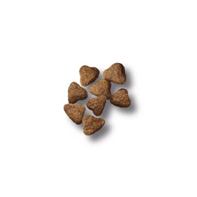 Image showing  Sport Performance 30/20 All Life Stages Beef and Bison Formula Dry Dog Food, 6 lb. Bag