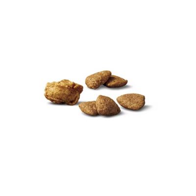Image showing  Complete Essentials Adult Shredded Blend Turkey and Rice Formula Dry Dog Food, 15 lb. Bag