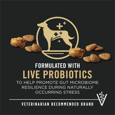 Image showing 5 th Purina Pro Plan Complete Essentials Shredded Blend Turkey and Rice Dog Food Dry Formula with Probiotics for Dogs