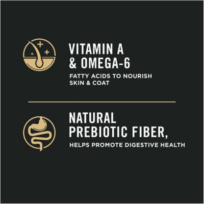 Image showing 8 th Purina Pro Plan Complete Essentials Shredded Blend Turkey & Rice High Protein Dry Dog Food