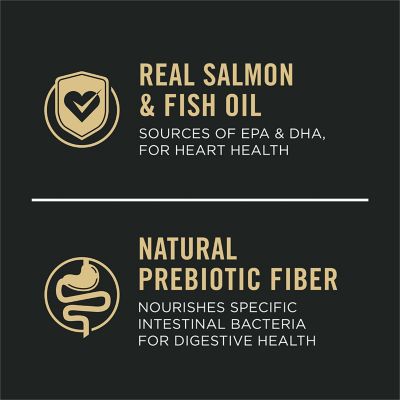 Image showing  Senior Adult 7+ Sensitive Skin and Stomach Salmon and Rice Formula Dry Dog Food