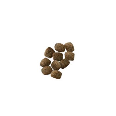 Image showing  Sensitive Skin and Stomach Adult 7+ Salmon and Rice Formula Dry Dog Food, 24 lb. Bag
