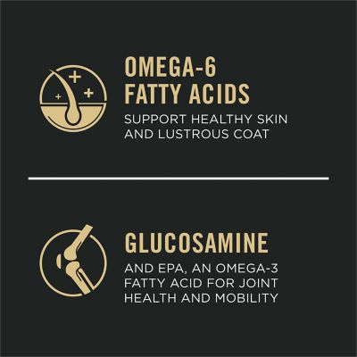 Image showing  Senior Adult 7+ Sensitive Skin and Stomach Salmon and Rice Formula Dry Dog Food