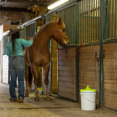 Image showing 7 th Rescue Fly Bucket Top