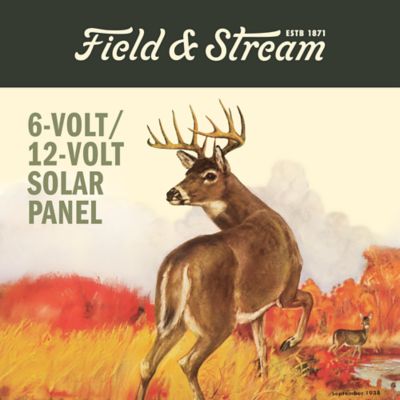 Image showing  6V/12V Amorphous Solar Panel for Game Feeders