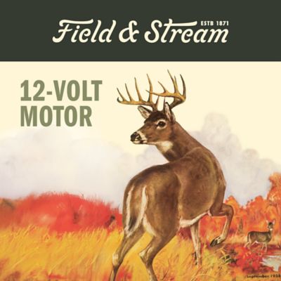 Image showing  12V Game Feeder Motor with Extended Shaft