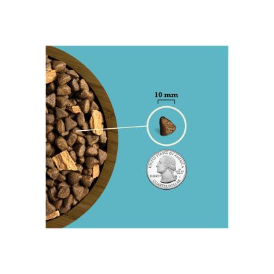 Image showing  Butcher's Favorites Wild-Caught Salmon Recipe Dry Dog Food