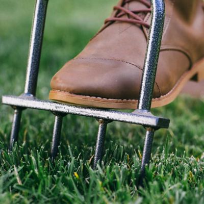 Image showing  36 in. Spike Grass Aerator