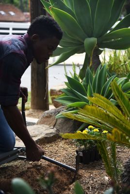 Image showing  Terra Garden Mattock Hand Tool