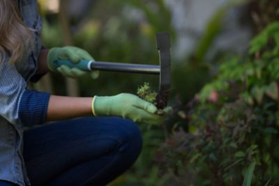 Image showing  Terra Garden Weeder Hand Tool