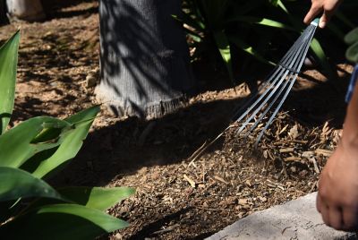 Image showing  Terra Handheld Garden Rake