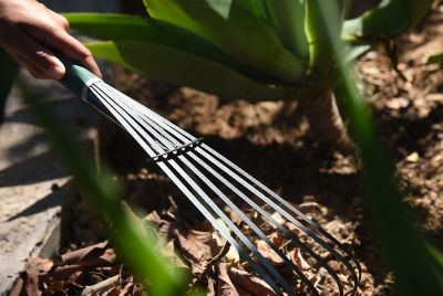 Image showing  Terra Handheld Garden Rake