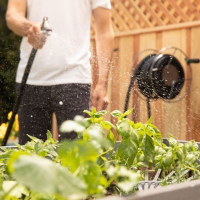 Image showing  The Mighty Reel