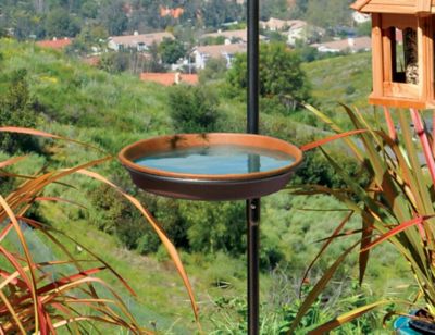 Image showing  Yard Tree Bird Center