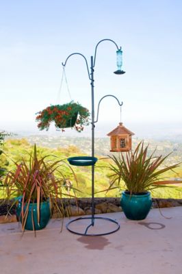 Image showing  Yard Tree Bird Center