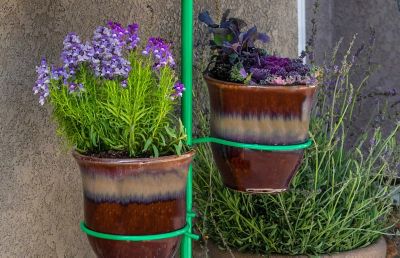 Image showing  Yard Tree Hanging Garden