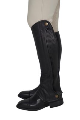 Image showing  Elite Leather Half Chaps