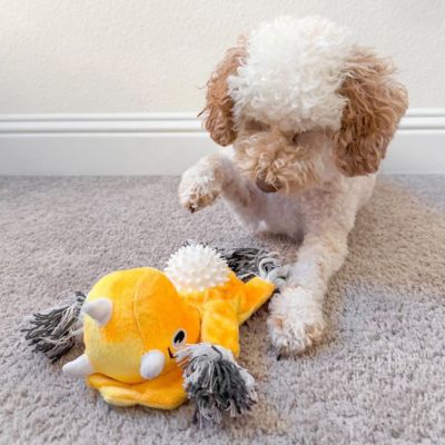 Image showing  Triceratops 2-in-1 Fetch Tug Dog Toy