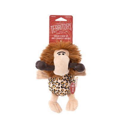 Image showing  Caveman 2-in-1 Chew Bone Dog Toy