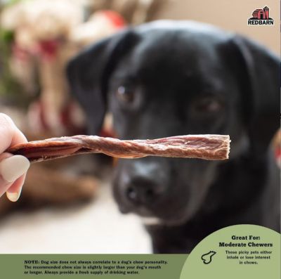 Image showing 5 th Redbarn Bully Slims Esophagus Dog Chew Treats, 4.7 oz.