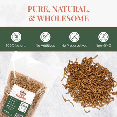 Image showing  Dried Mealworms Chicken Treats