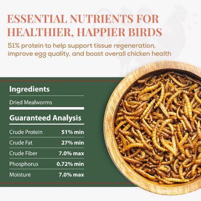 Image showing  Dried Mealworms Chicken Treats