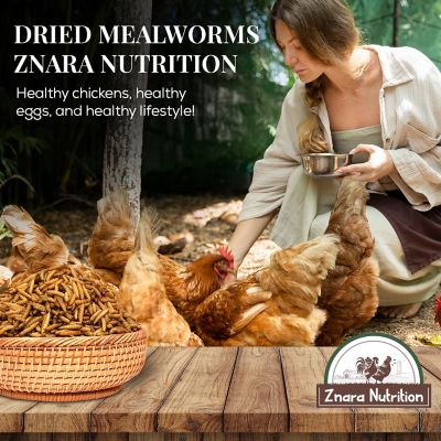 Image showing 6 th Znara Dried Mealworms Chicken Treats