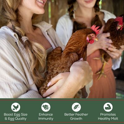 Image showing  Nutrition Dried Mealworms Chicken Treats, 2 lb. 2 pks of 1 lb