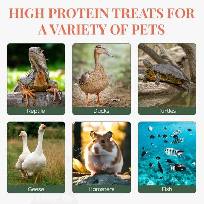 Image showing 5 th Znara Nutrition Dried Mealworms Chicken Treats, 2 lb. 2 pks of 1 lb