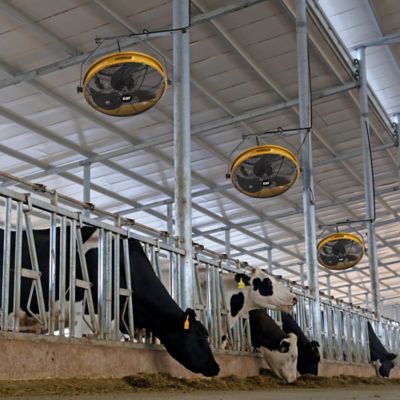 Image showing 3 th Caterpillar High-Velocity Indoor Outdoor Ipx4 Rated Wall and Ceiling Shroud Fan, HVOD-18S-NG