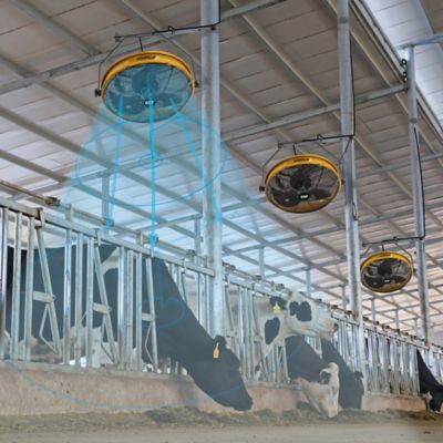 Image showing 4 th Caterpillar High-Velocity Indoor Outdoor Ipx4 Rated Wall and Ceiling Shroud Fan, HVOD-18S-NG