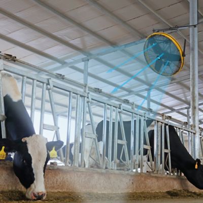 Image showing  High-Velocity Indoor Outdoor Ipx4 Rated Wall and Ceiling Shroud Fan, HVOD-30S-NG