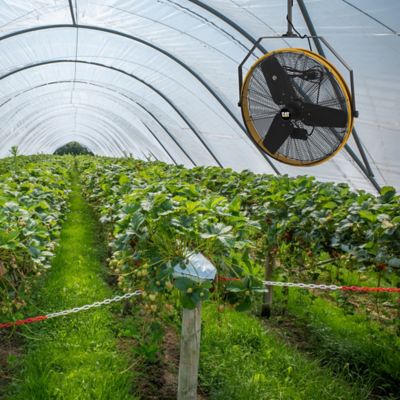 Image showing 5 th Caterpillar High-Velocity Indoor Outdoor Ipx4 Rated Wall and Ceiling Shroud Fan, HVOD-30S-NG