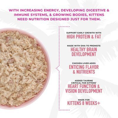 Image showing  Baby Wet Cat Food for Kittens Chicken & Salmon