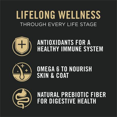 Image showing 6 th Purina Pro Plan All Life Stages Chicken & Rice Dry Cat Food