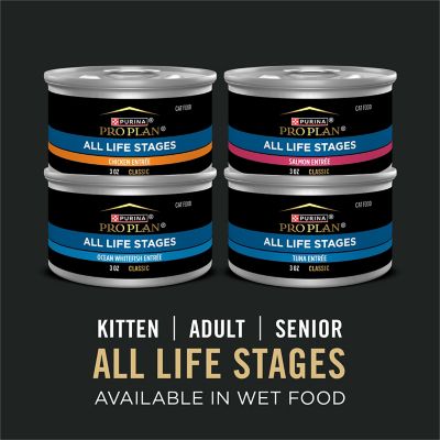 Image showing 7 th Purina Pro Plan All Life Stages Chicken & Rice Dry Cat Food